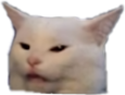 poopcat